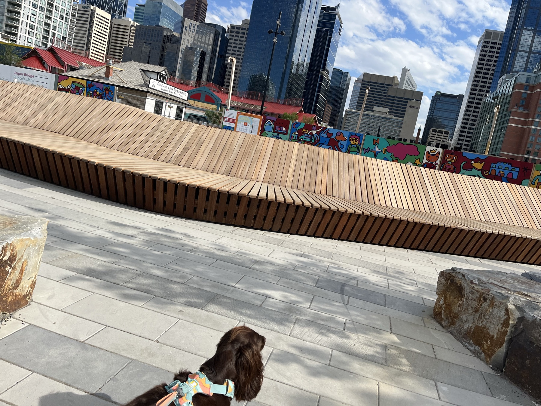 Downtown Calgary riverwalk