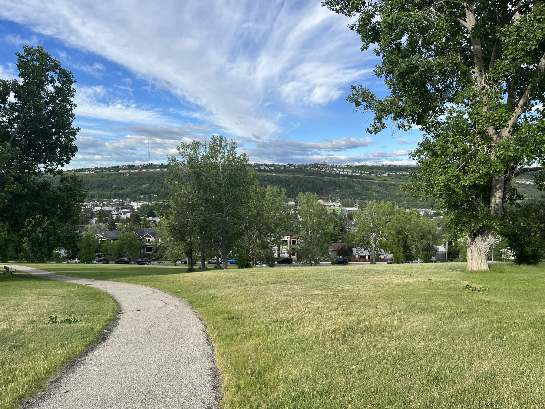 A paved path descending through a hilltop park in northwest Calgary