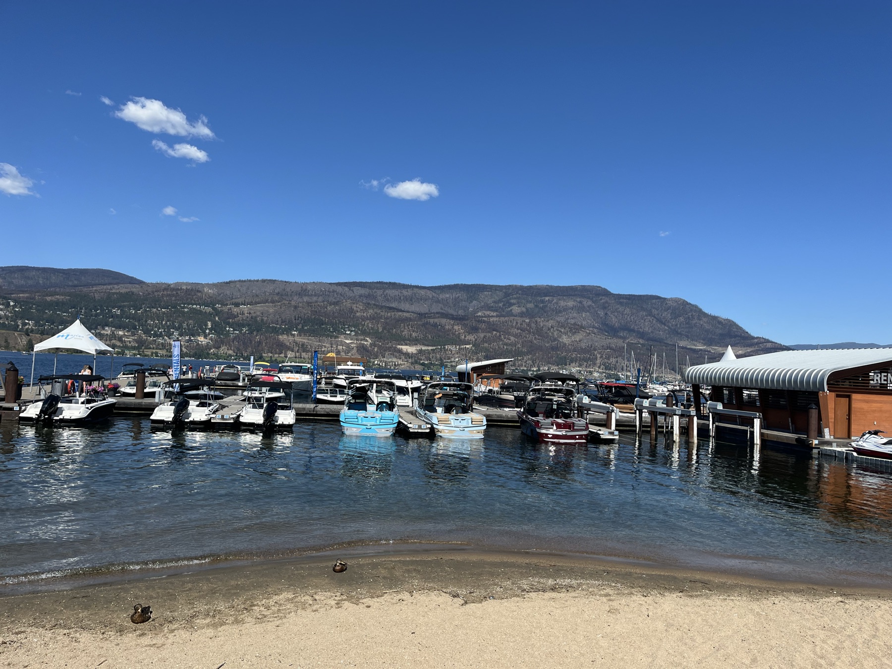 Boats and mountains at Kelowna's waterfront marina