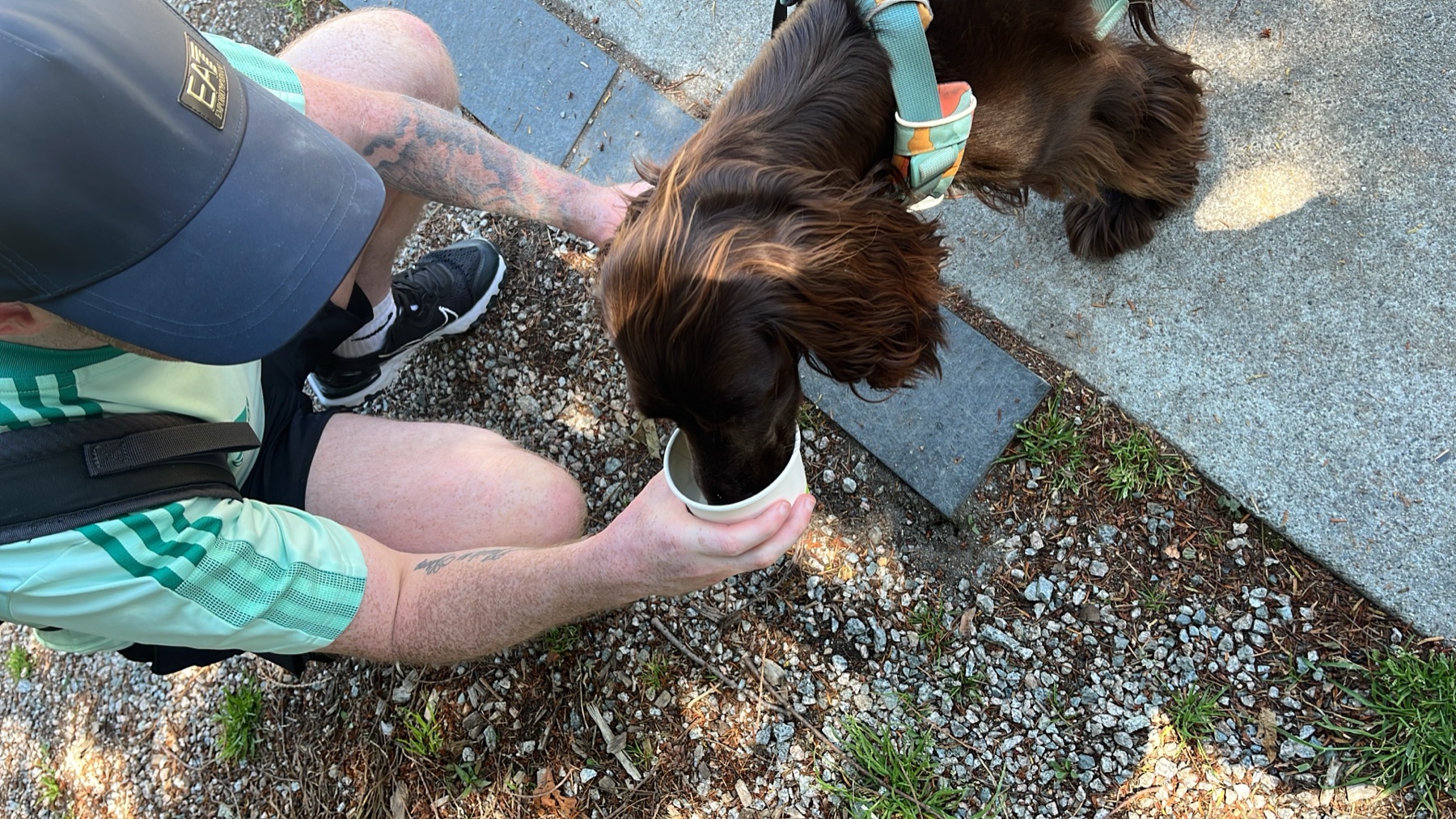 Tilly eating ice cream from a cup at Prospect Point