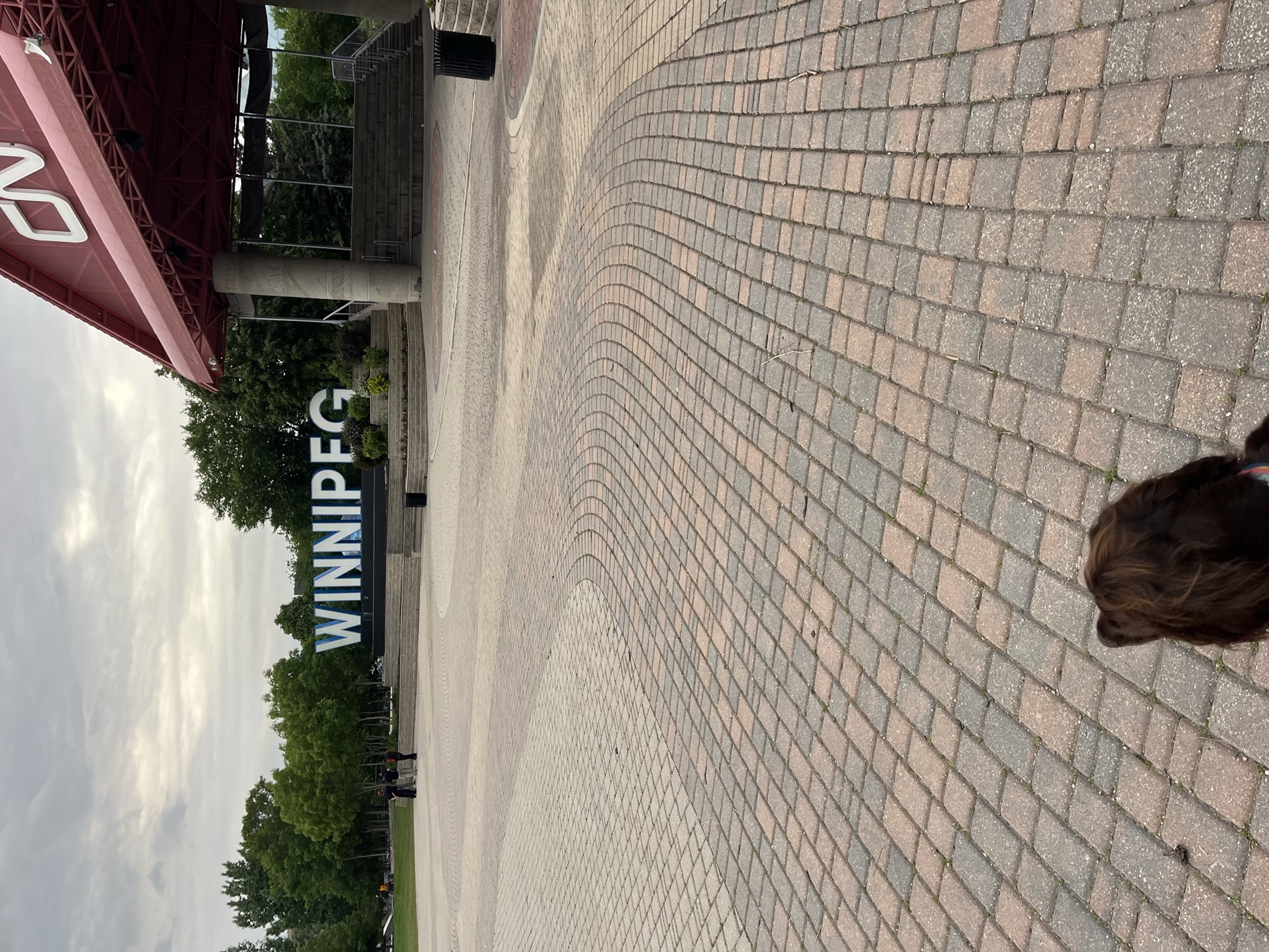 The Forks