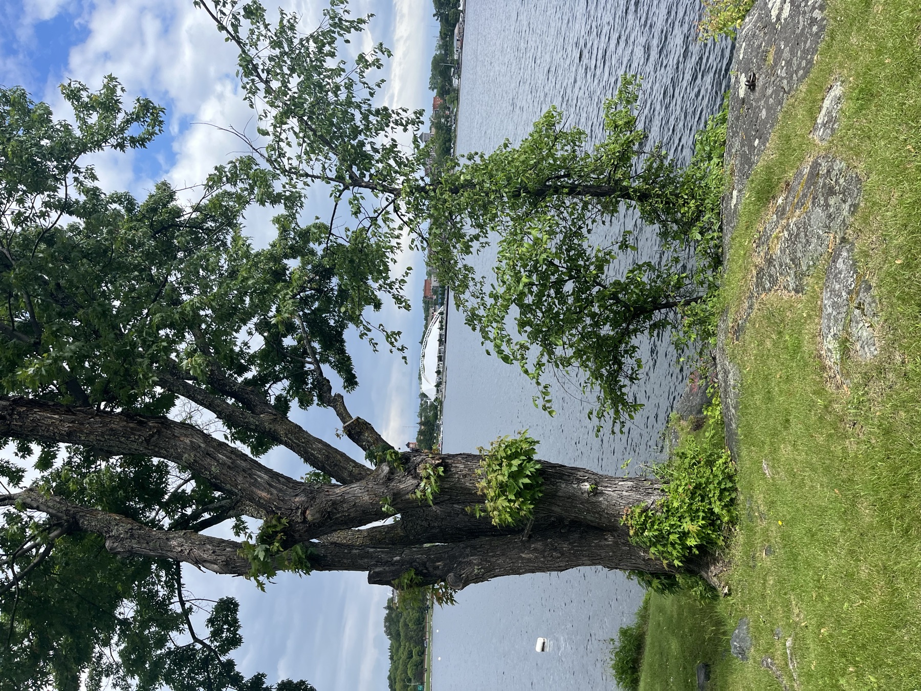 The waterfront park beside Husky the Muskie