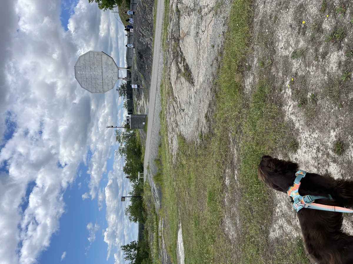 Tilly approaching the Big Nickel in Sudbury