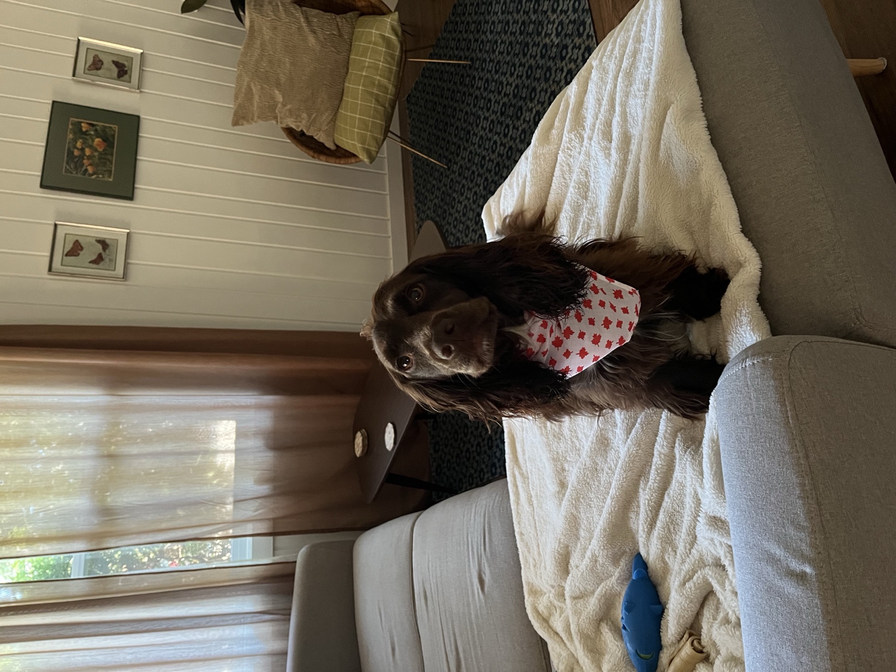 West Regina Airbnb