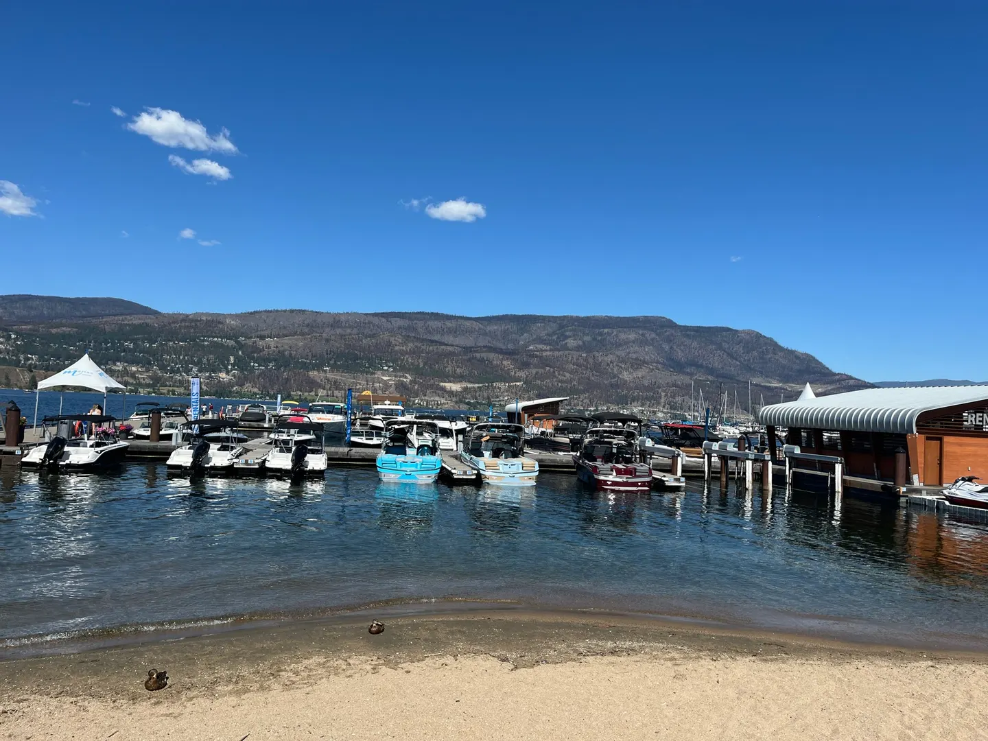 Bateaux et montagnes à la marina du bord de l’eau de Kelowna