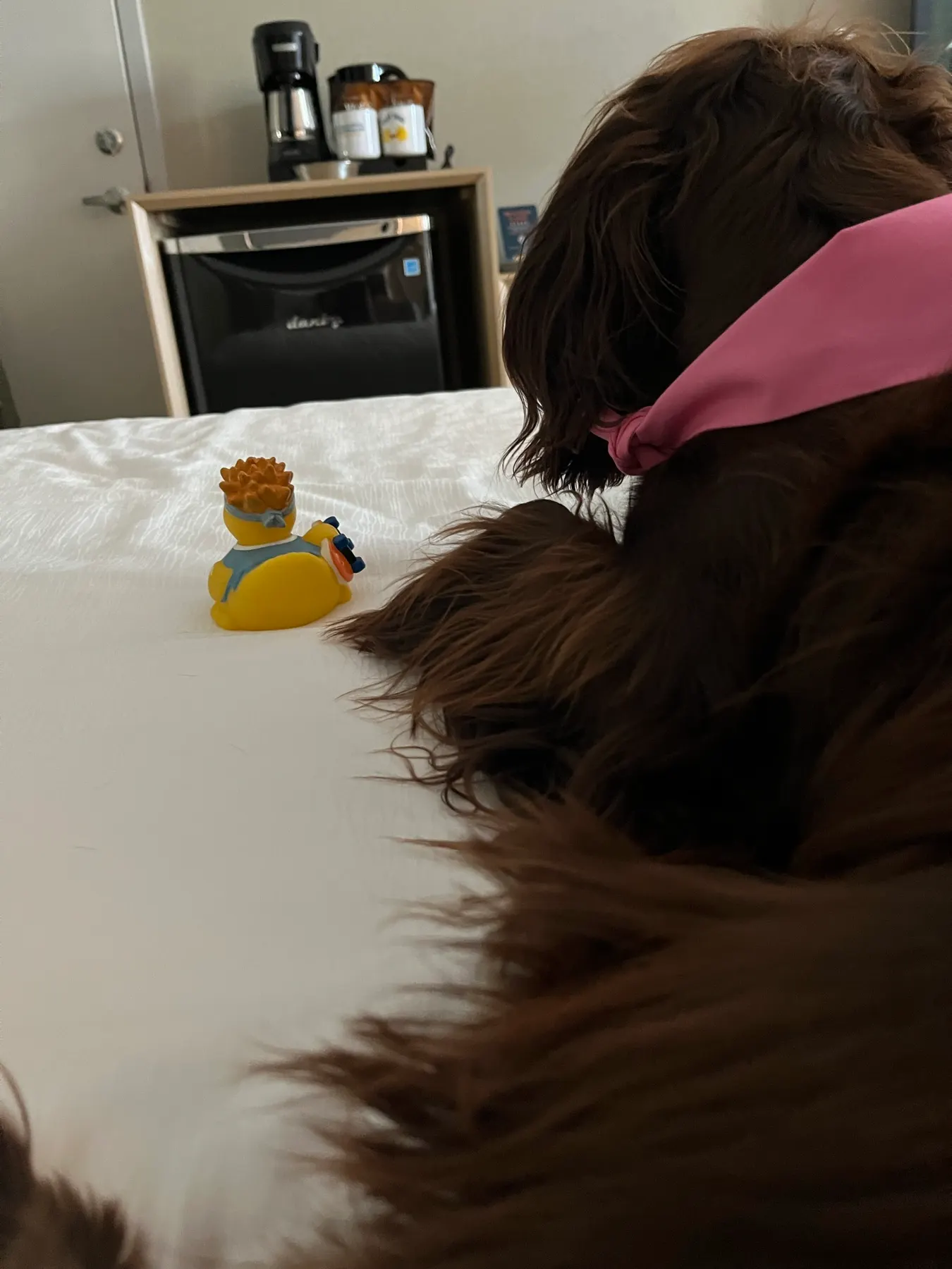 Tilly couchée sur le lit à côté du canard en caoutchouc de l’hôtel