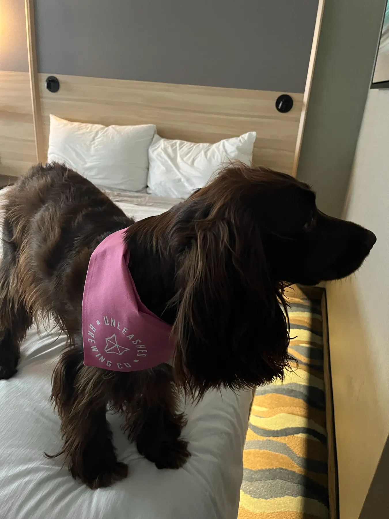 Accent Inns Kelowna