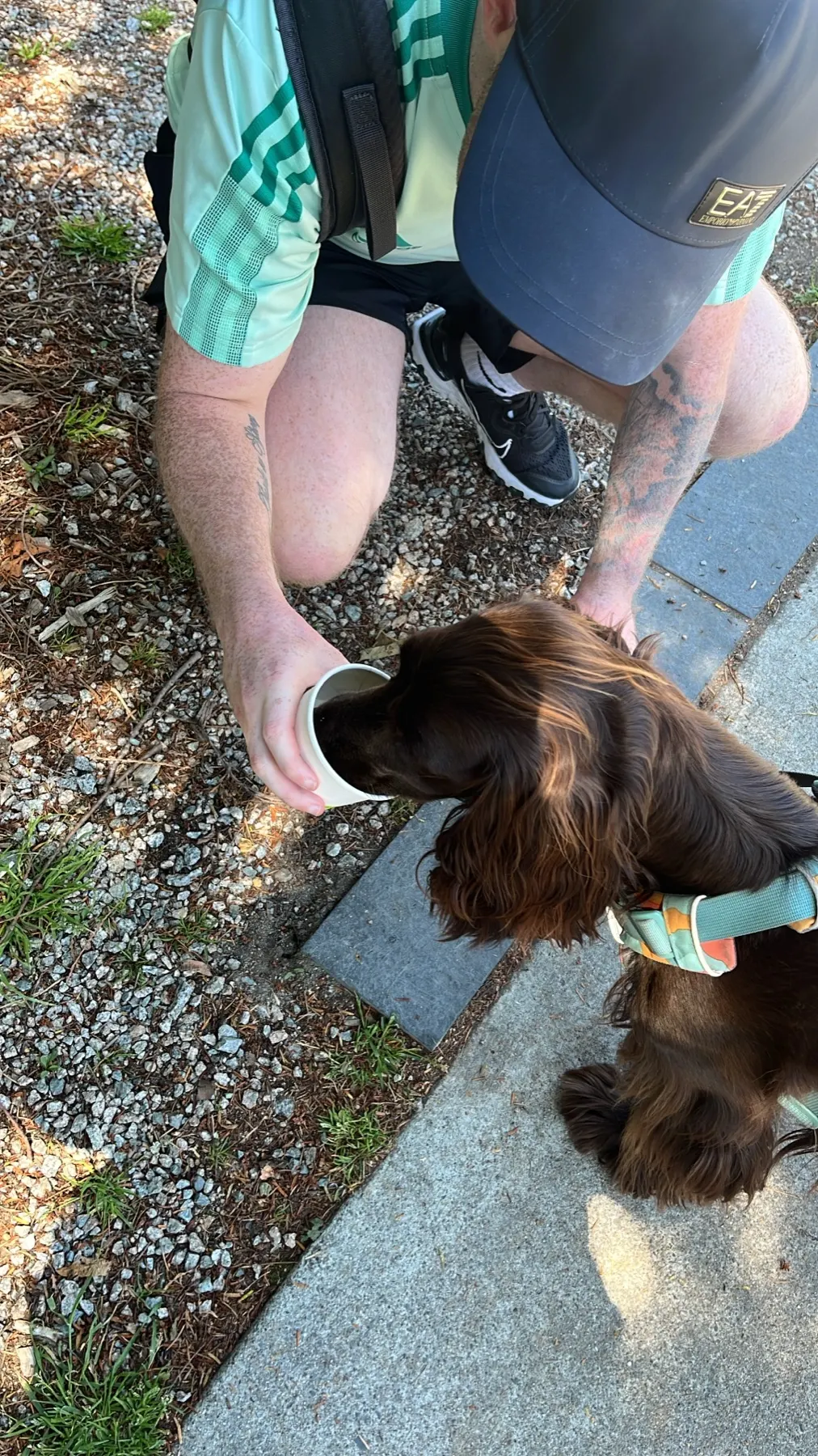 Tilly mangeant une crème glacée dans une coupe à Prospect Point