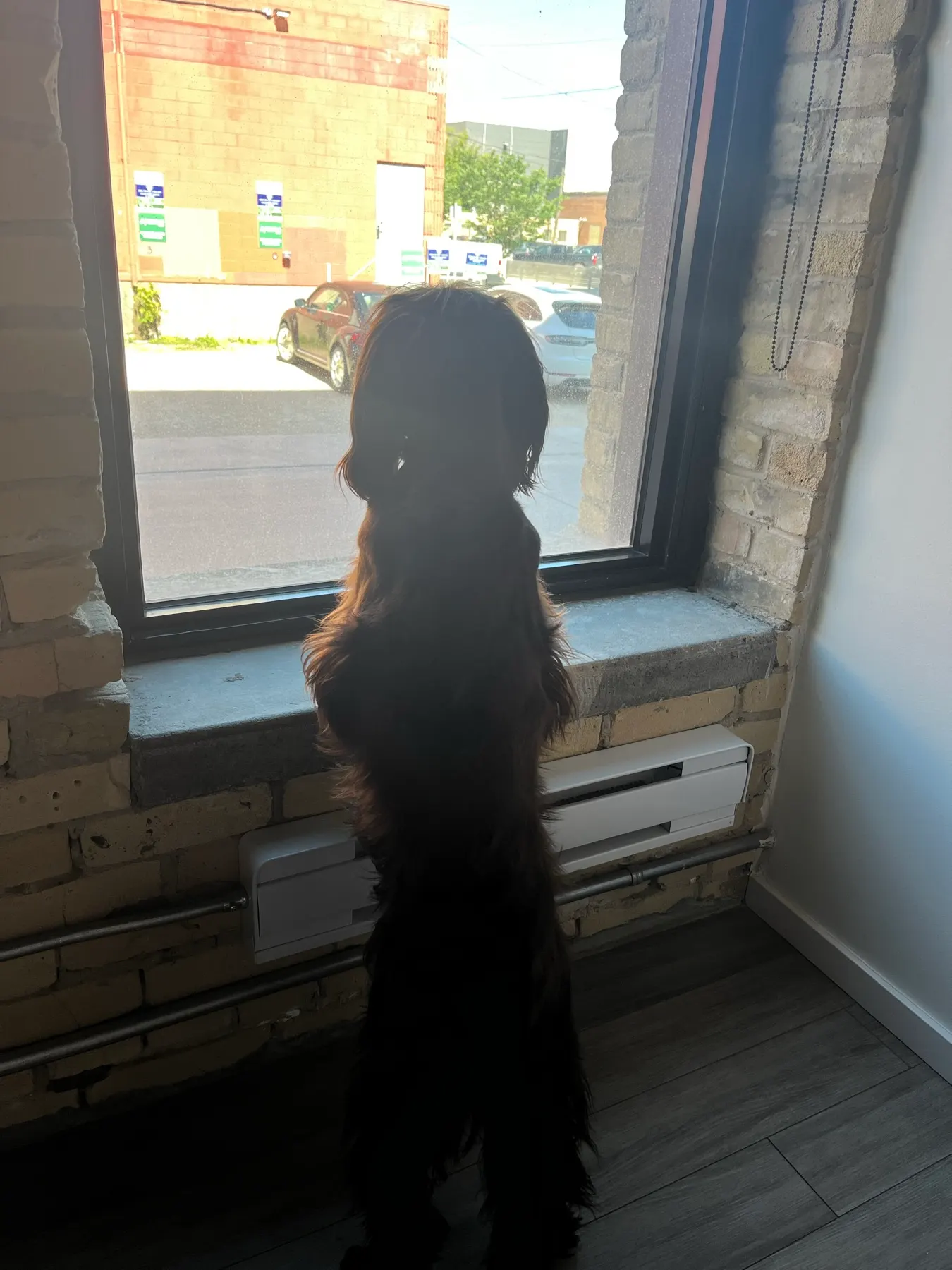 Airbnb du quartier des échanges