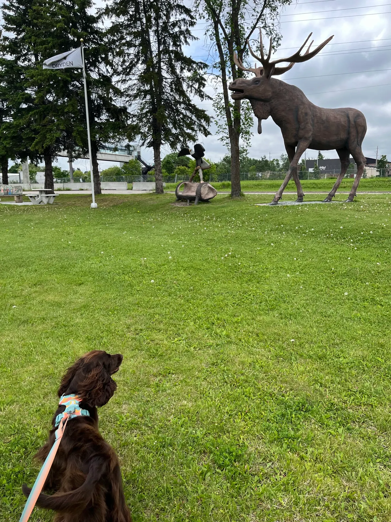 Dryden, Ontario