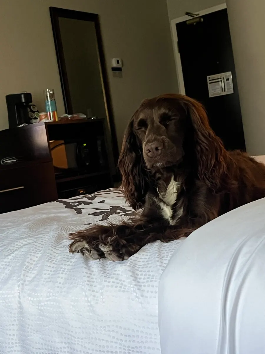 Sleep Inn Sault Ste. Marie