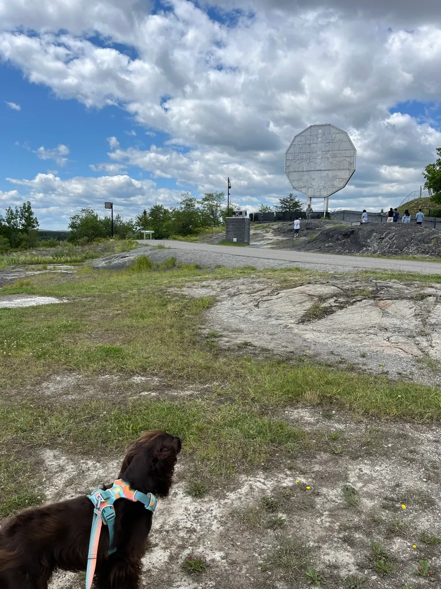 Tilly s’approchant du Big Nickel à Sudbury