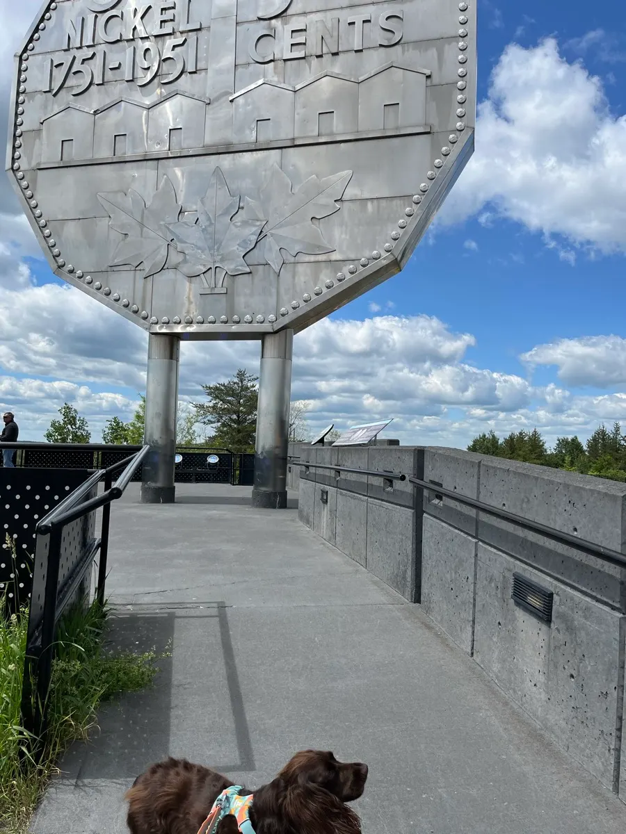 Tilly se tenant sous le Big Nickel