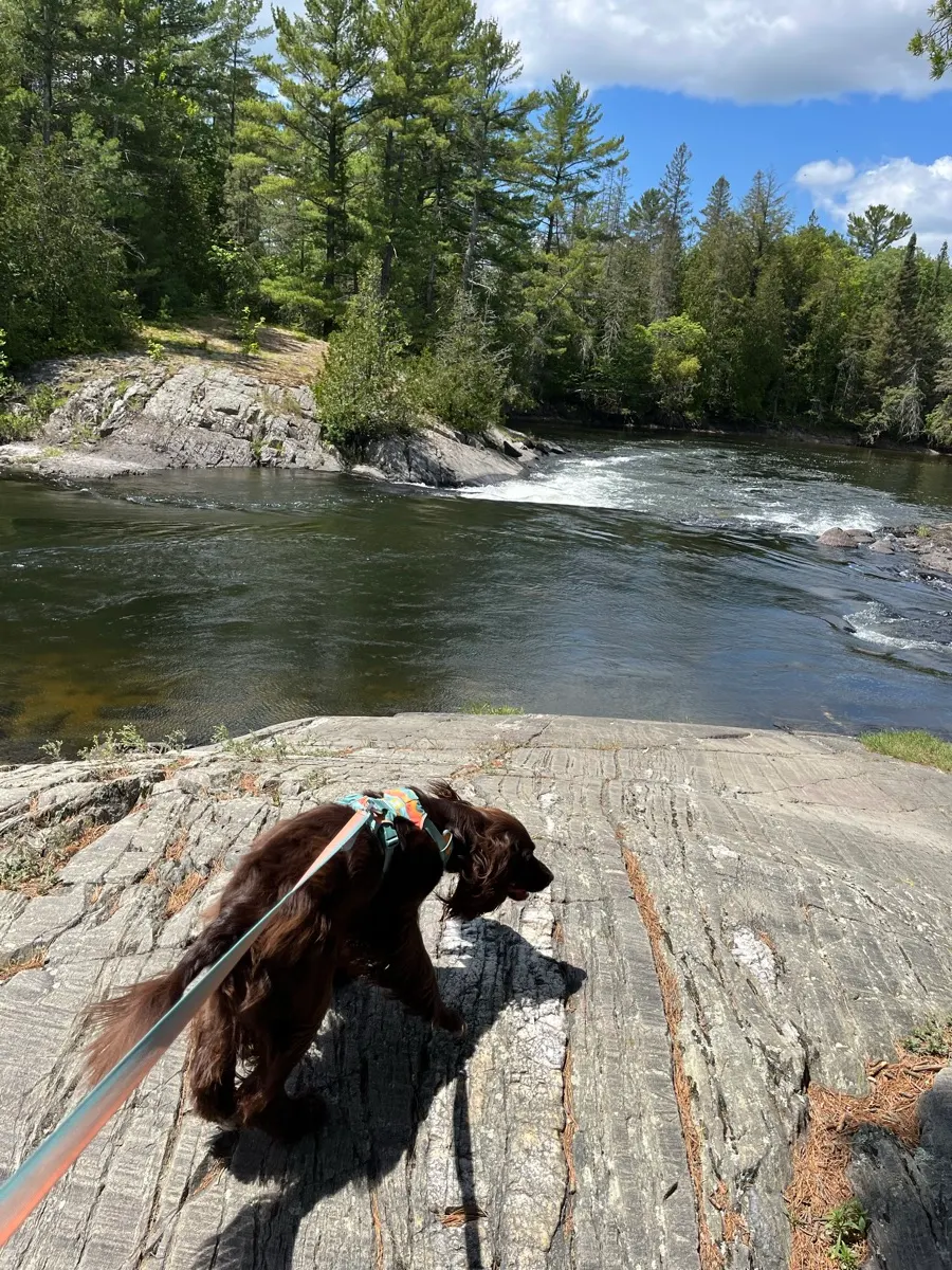 Tilly explorant les rochers près de la rivière Serpent