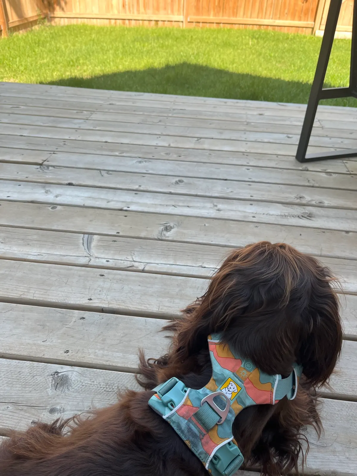 Saskatoon Airbnb