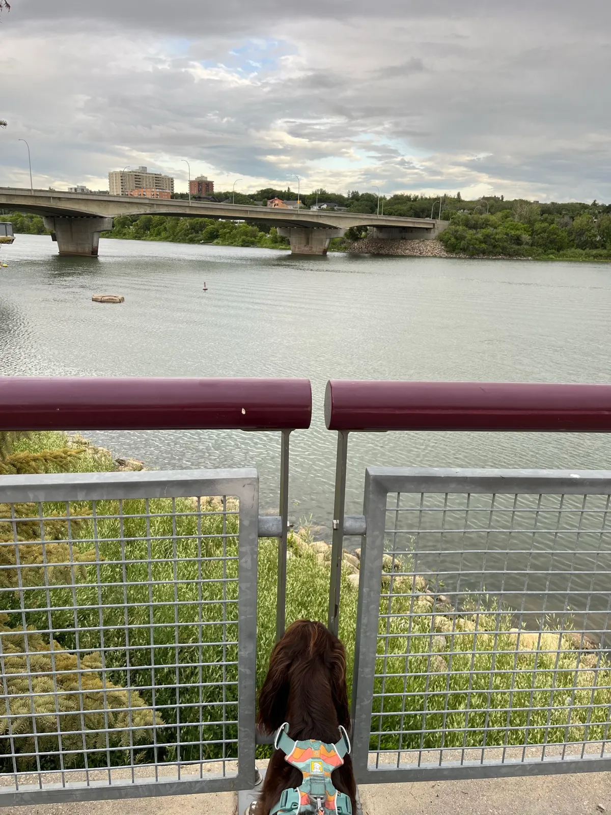 Riverfront view in downtown Saskatoon