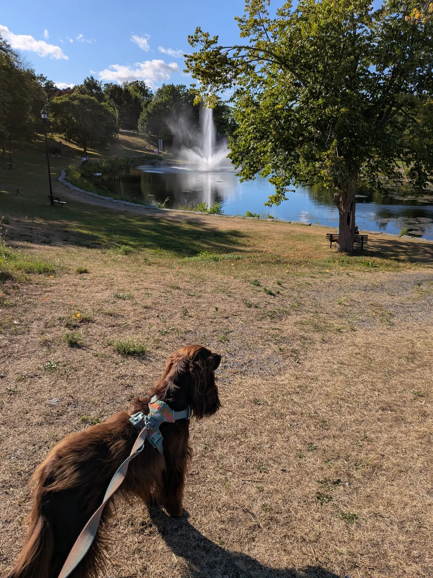 Confederation Park and Joel Stone Heritage Park