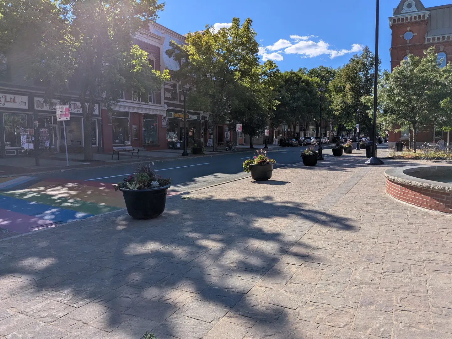 Une rue ensoleillée du centre-ville de Fredericton bordée de jardinières et de bâtiments de brique