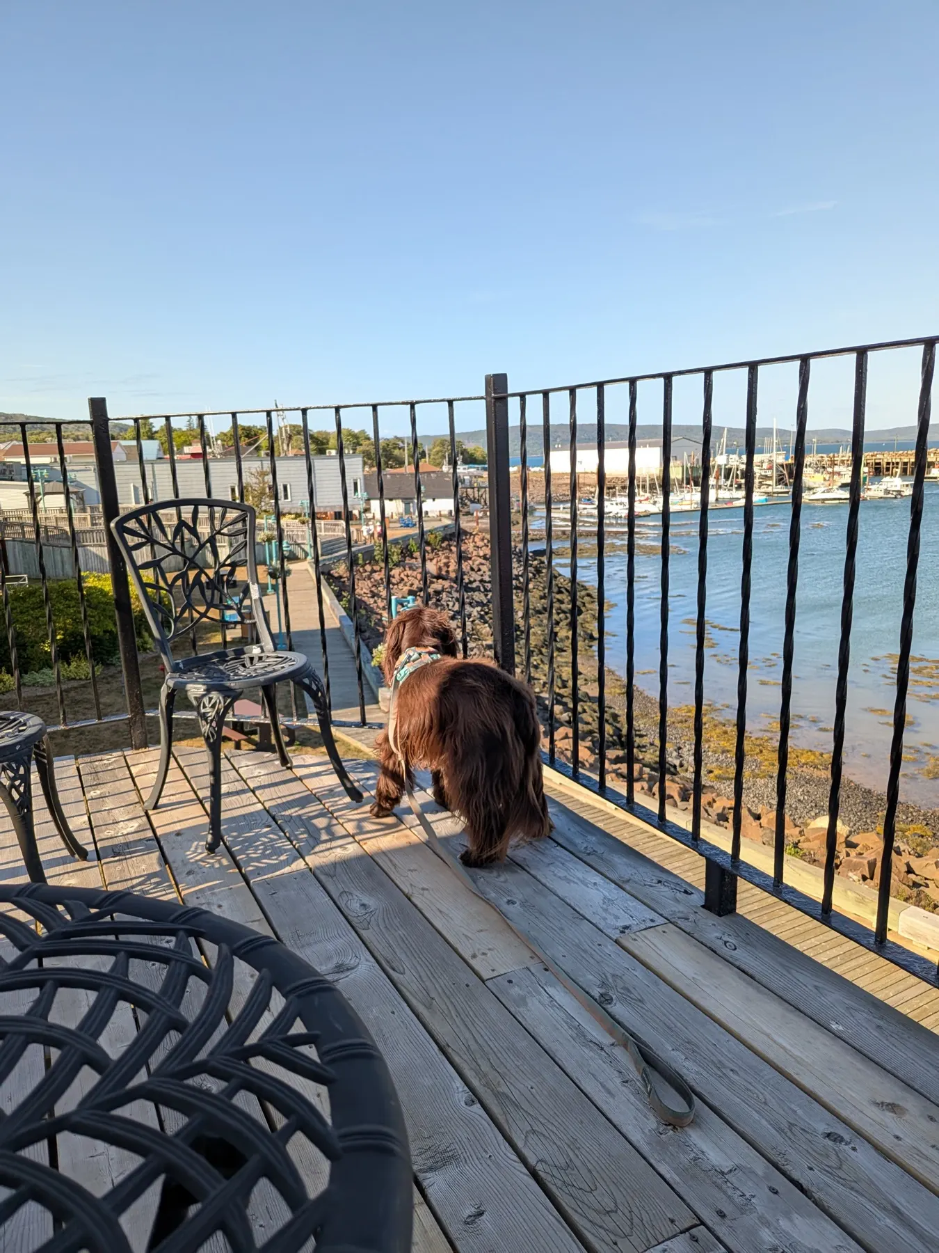 The view over Digby harbour from the Dockside Suites balcony