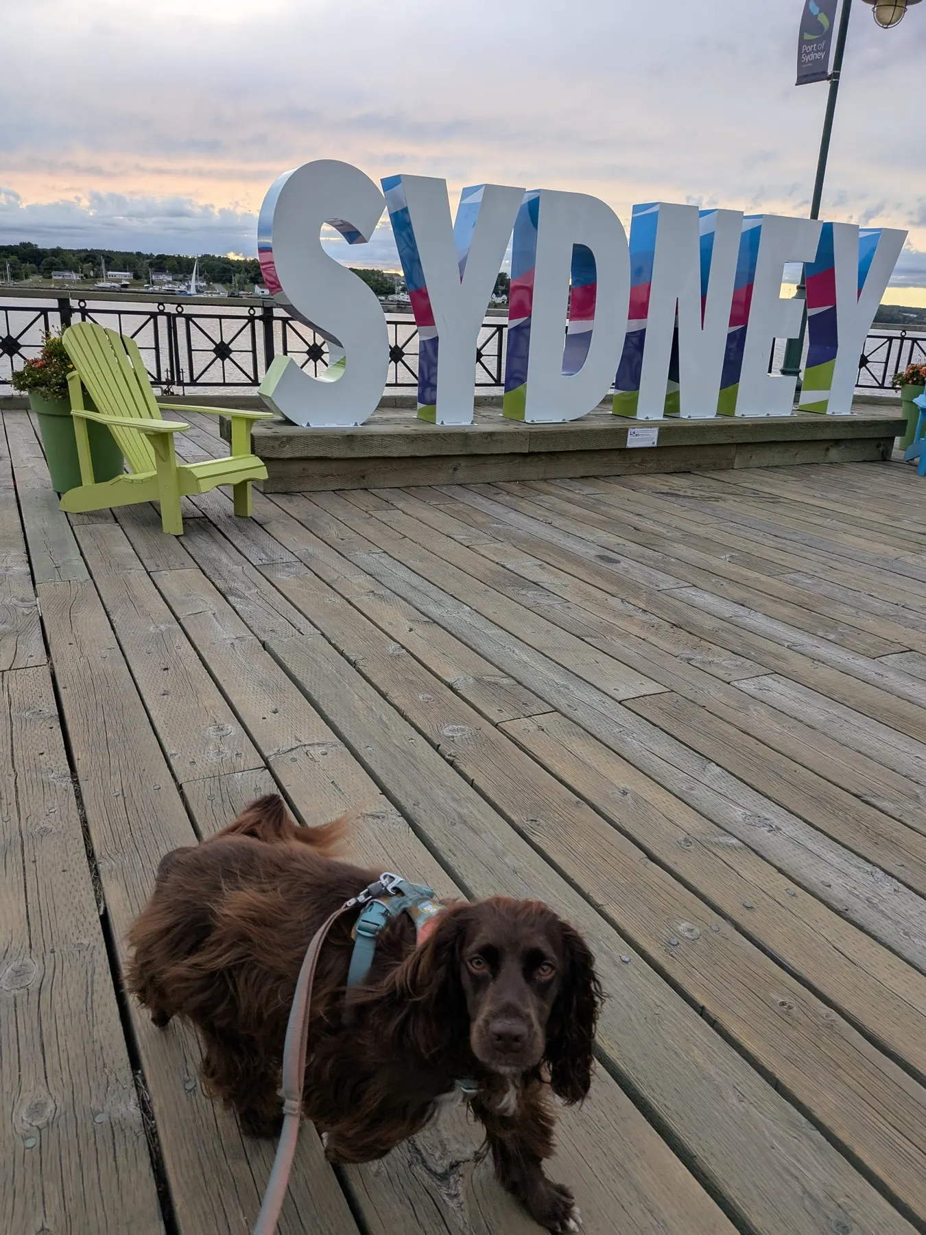 Sydney, Nova Scotia