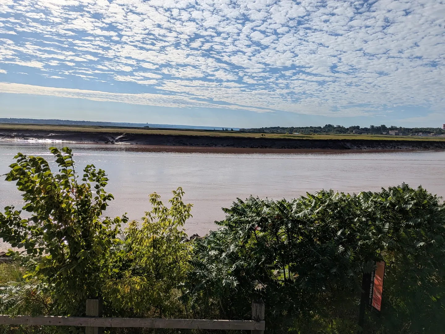 The Petitcodiac River from the Moncton riverfront