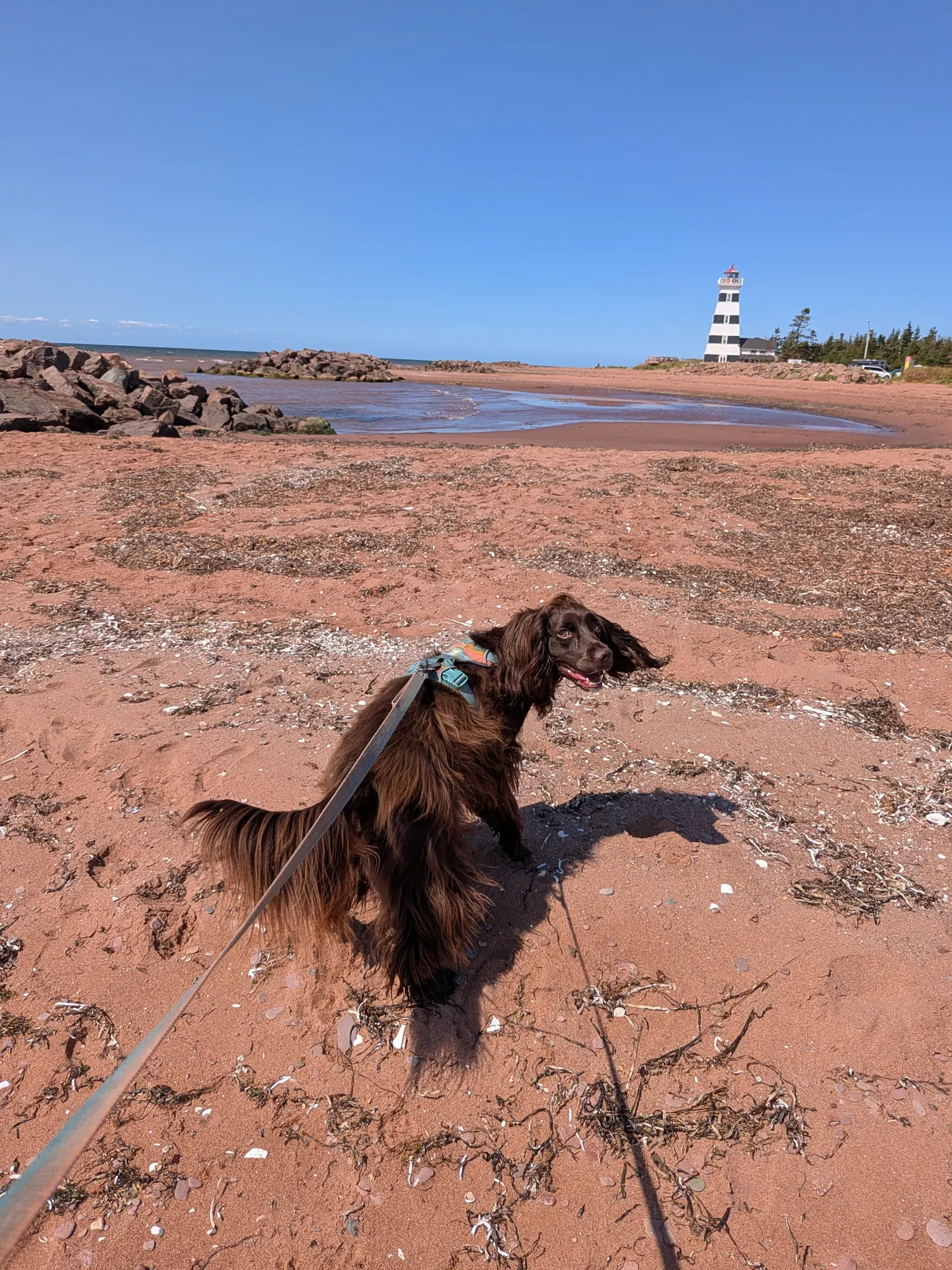 O'Leary and West Point, Prince Edward Island