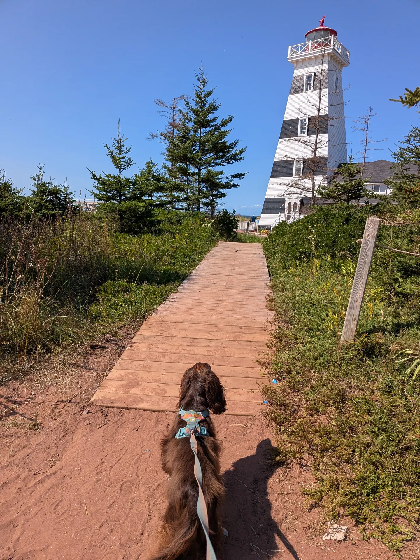 Borden-Carleton, Prince Edward Island
