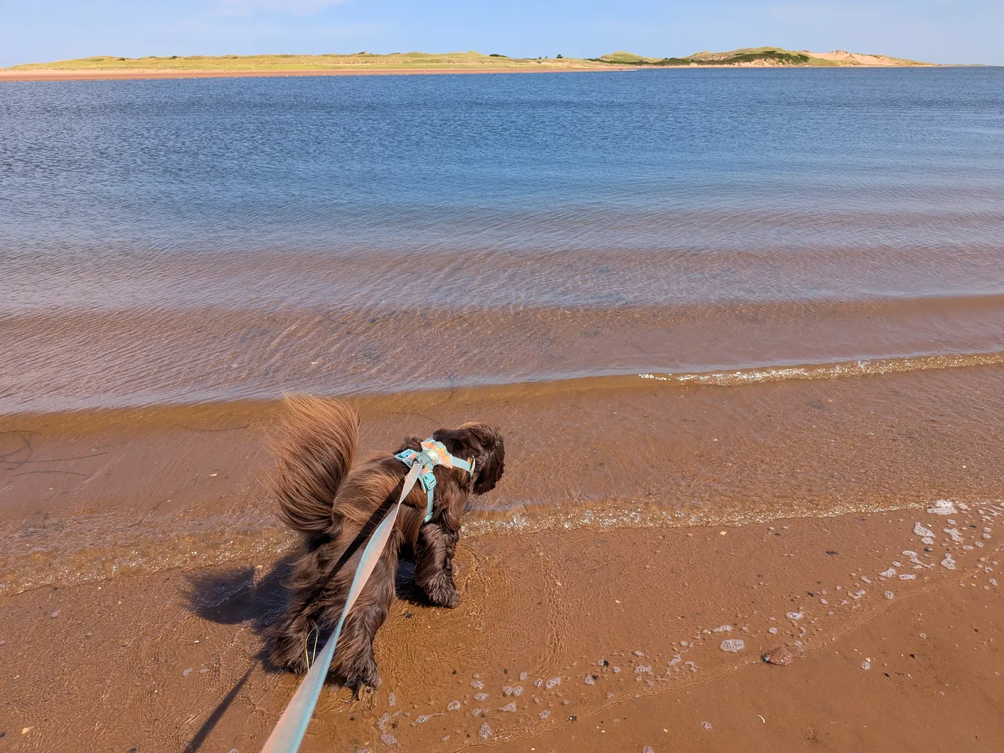 Grand Tracadie and Tracadie Beach, Prince Edward Island