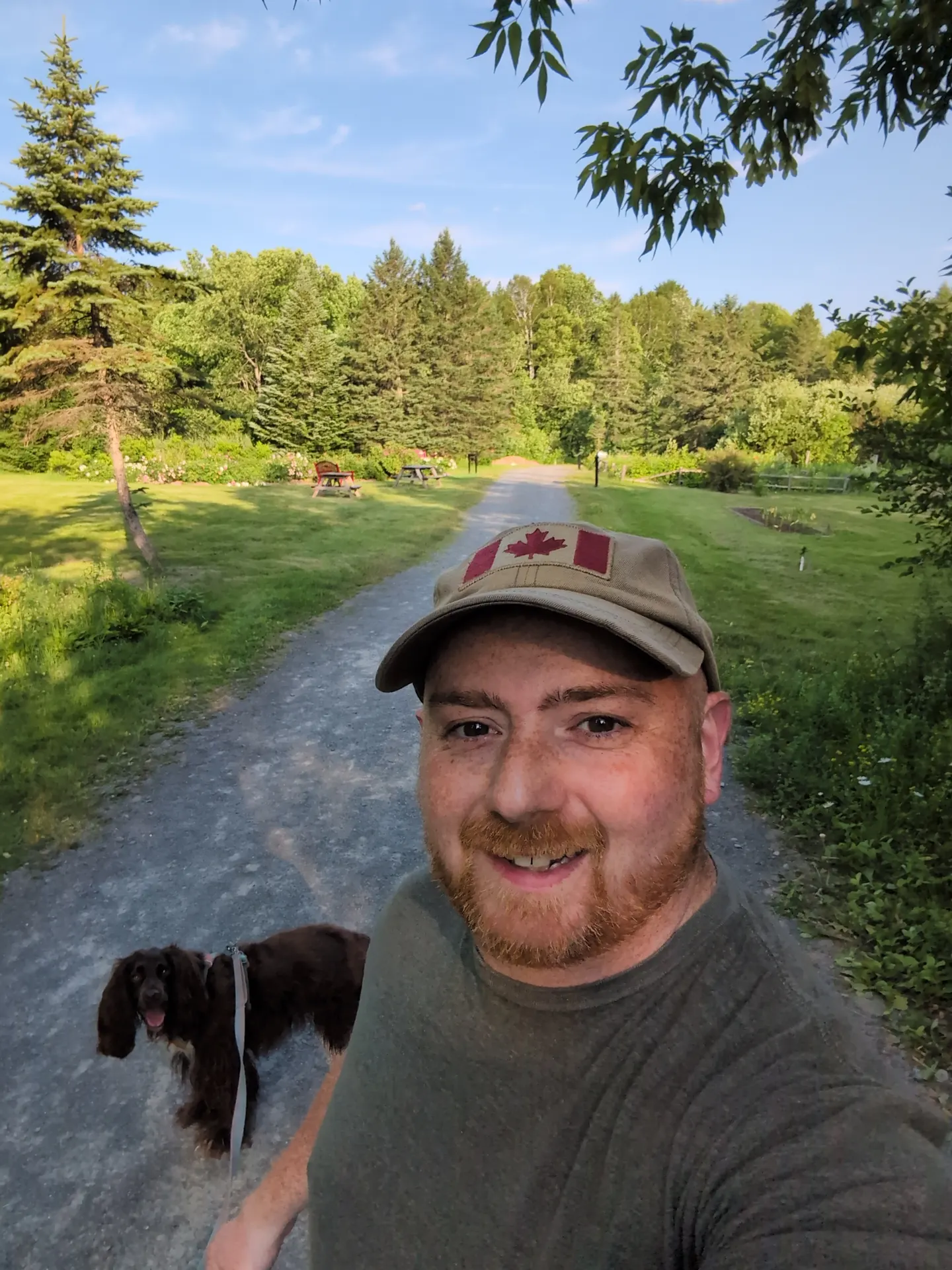 Tilly walking on leash along a broad wooded trail in Odell Park
